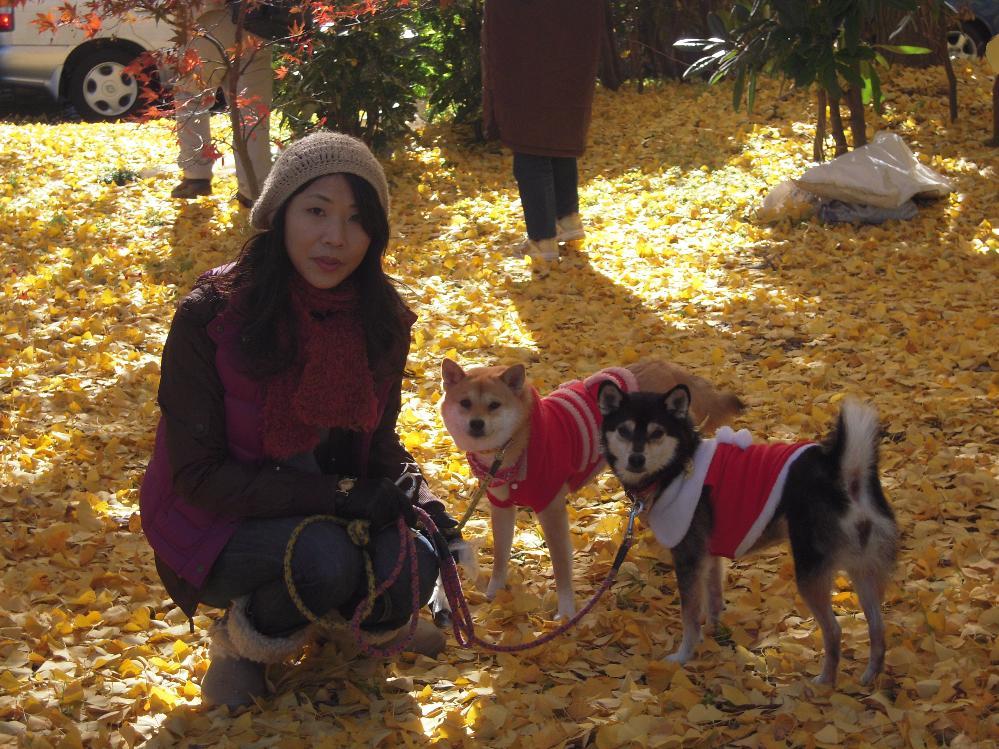 祖父江銀杏 027.jpg